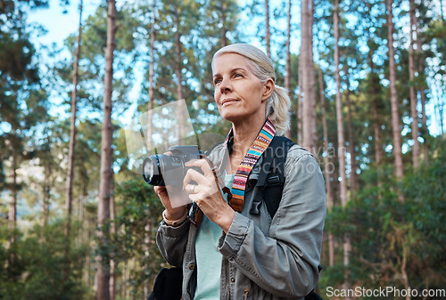 Image of Camera, photographer and elderly woman taking pictures while hiking in a forest, calm and content. Nature, photography and senior lady enjoying retirement, relax and hobby while on vacation outdoors