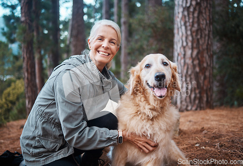 Image of Elderly woman, portrait and hiking with dog in forest and fitness, travel and pet with love and care. Nature, trekking and vitality, mature female in retirement and golden retriever puppy outdoor