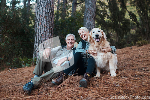 Image of Smile, hiking and old couple with dog sitting on forest floor in Australia on retirement holiday adventure. Travel, senior man and woman relax together on nature walk with love, Labrador and health.