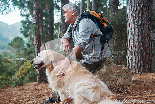 Image of Senior man, hiking and dog outdoor in nature for exercise, fitness and trekking for health and wellness. Old male thinking with animal pet on hike in forest for workout and cardio with backpack