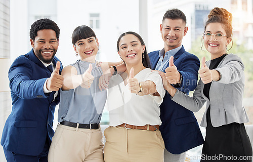 Image of Business people, portrait and thumbs up for winning, good job or team success together at the office. Group of happy employee workers showing thumb emoji with smile for yes sign or like in agreement