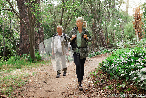 Image of Nature, forest and senior couple hiking for health, wellness and cardio exercise outdoor. Travel, trail adventure and elderly man and woman in retirement trekking in the woods for a hobby or workout.