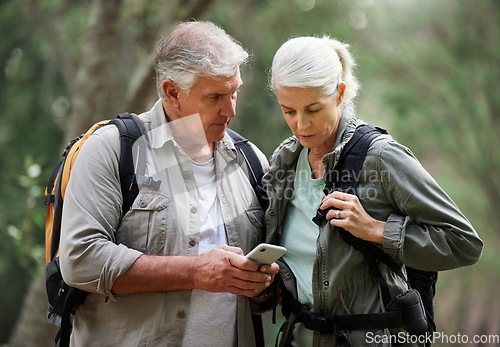 Image of Forest, hiking and elderly couple with phone for gps, location or navigation while exploring together. Online, maps and active senior man with woman checking direction while backpacking in nature