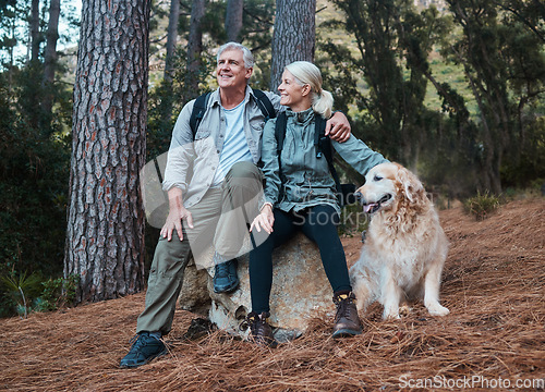 Image of Forest, hiking and old couple with dog sitting on rock in mountains in Peru on retirement holiday adventure. Travel, senior man and woman relax together on nature walk with love, Labrador and health.