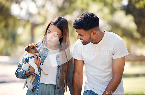 Image of Couple, holding puppy and walking in park for sunshine, summer or care for happiness, talk and bond. Man, woman and carrying small dog pet with smile, love and family in nature together for wellness