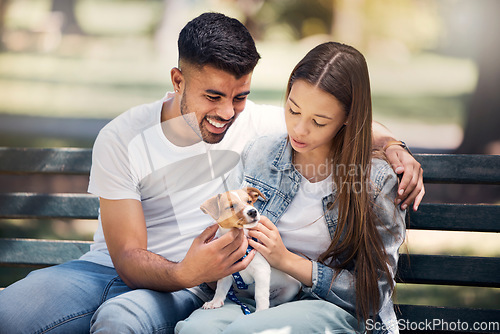 Image of Young couple, puppy and relax in park, bench and summer sunshine with happiness, care and bonding. Man, woman and small dog with touch, smile and hug for love, romance and family in nature together