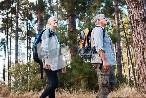 Image of Forest, retirement and hiking, mature couple with backpack on nature walk and mountain path in USA. Travel, senior man and woman on exercise hike with love, health and trekking on holiday adventure.