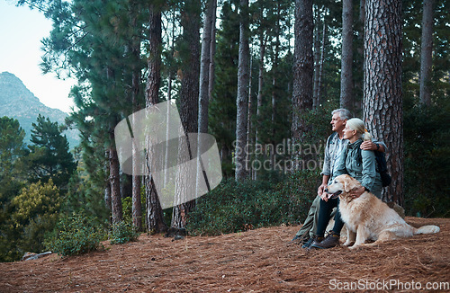 Image of Forest, relax and hiking, old couple with dog on nature walk and mountain view in Peru. Travel, senior man and woman rest on cliff with love, Labrador pet and health on retirement holiday adventure.