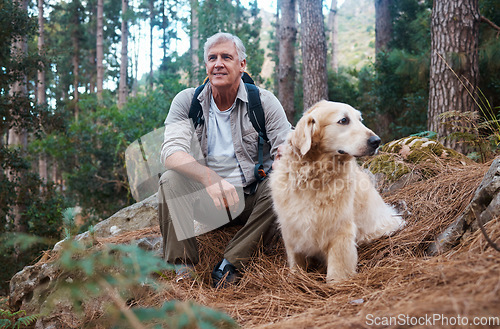 Image of Adventure, explore and man hiking with her dog, pet or animal in the winter forest for exercise, workout or fitness. Trekking, travel and elderly or senior male trekking with a puppy on holiday