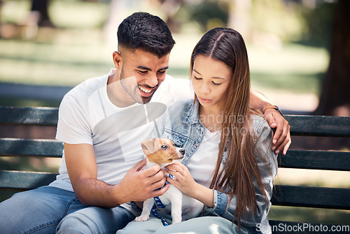 Image of Man, woman and puppy relax in park, bench and summer sunshine with happiness, care and bond. Young couple, touch and small dog with calm, smile and hug for love, romance and family in nature together