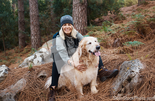 Image of Adventure, explore and woman hiking with her dog, pet or animal in the winter forest for exercise, workout or fitness. Trekking, travel and elderly or senior female trekking in the woods on holiday