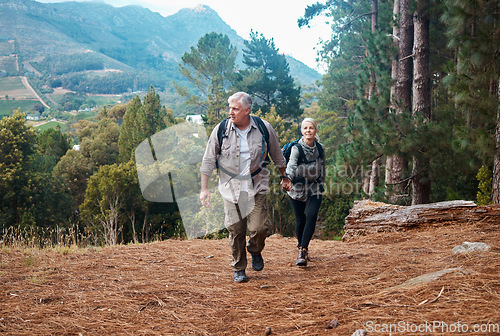 Image of Holding hands, nature and senior couple hiking, walking and trekking in mountains of Peru. Travel, together and an elderly man and woman on a walk in a forest for exercise and retirement adventure