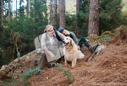 Image of Nature, hiking and elderly couple with their dog in the forest for wellness cardio exercise. Happy, travel and senior man and woman hikers in retirement trekking with their pet in woods in Australia.