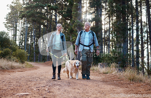 Image of Forrest, hiking and old couple with dog on nature walk in mountain in Peru for fitness and exercise. Travel, man and woman on hike with Labrador pet, love and health on retirement holiday adventure.