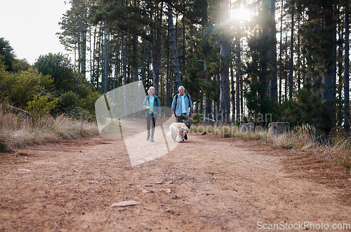 Image of Forrest, hiking and old couple walking dog on path in mountain in Australia for fitness and exercise. Travel, man and woman on hike with Labrador pet, love and health on retirement holiday adventure.