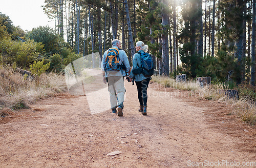 Image of Forest, retirement and hiking, old couple holding hands on nature walk on mountain path in Canada. Travel, senior man and mature woman on hike for exercise with love and health on holiday adventure.