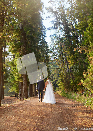 Image of Wedding, back and couple walking in forest, nature and park for union celebration, care and marriage. Bride, groom and walk in woods, love and bridal event of commitment, support and trust of partner