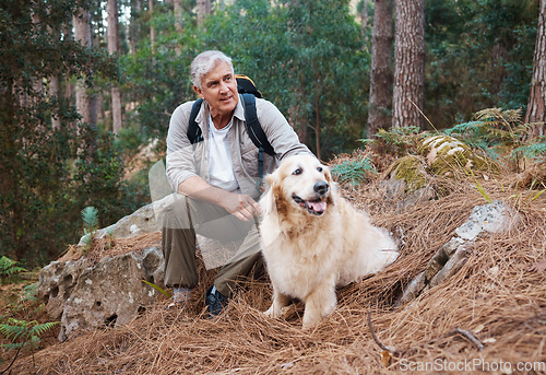 Image of Adventure, hiking and old man with his dog, pet or animal in the winter forest for exercise, workout or fitness. Trekking, travel and elderly or senior male relax in the woods with a puppy on holiday