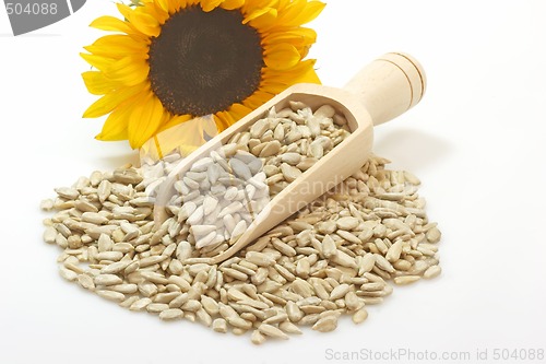 Image of Sunflower seeds