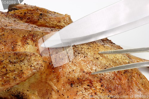 Image of Roasted duck_5
