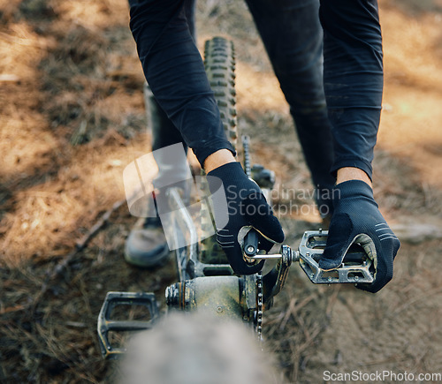 Image of Hands, bicycle and repair pedal in woods for speed, dirt and nature in summer for extreme sport athlete. Man, Mountain bike expert and outdoor for workout, training and exercise in forest