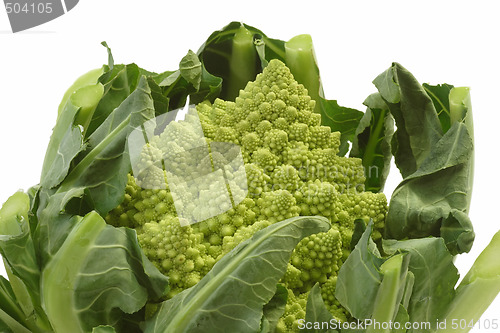 Image of Romanesco_3