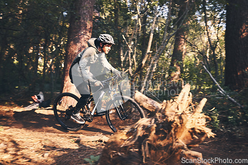 Image of Fitness, cycling and sports with man in nature for training, adventure and workout. Strong, exercise and challenge with male cyclist riding on bike in forest park for cardio, race and speed