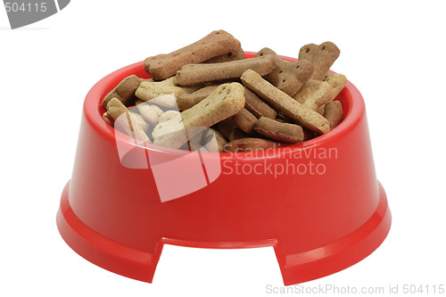 Image of Red dog bowl