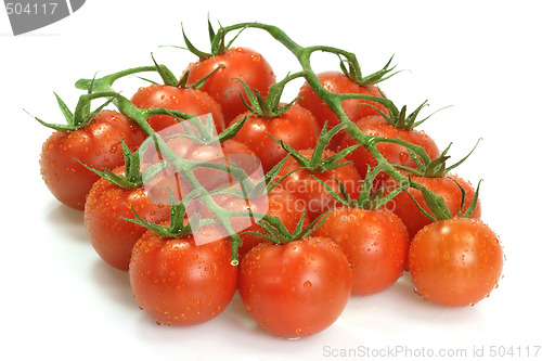 Image of Tomatoes