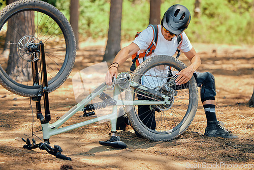 Image of Maintenance, fitness and a man with a bicycle for cycling, fixing a wheel or tire in nature. Training, cardio and a cyclist repairing a bike, doing repairs and inspection for a race or competition