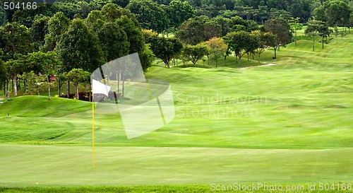 Image of Green & Fairway