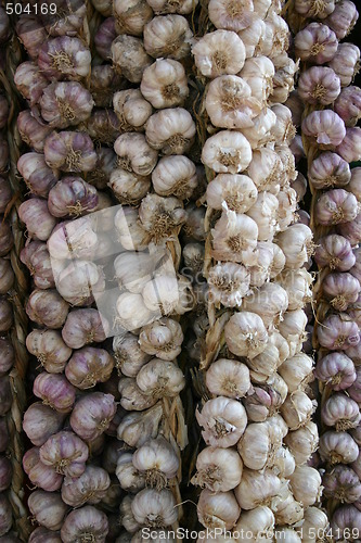 Image of Onions at market
