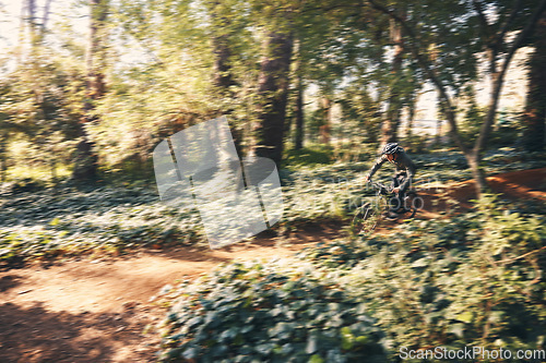 Image of Bike, cycling and motion blur with a man in the forest for fitness, adventure or freedom in nature. Bicycle, exercise and a male athlete cyclist outdoor in the woods for cardio or endurance training