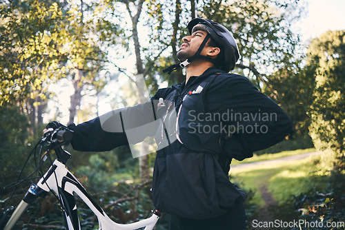 Image of Forest, fitness and cyclist with back pain, bicycle and exercise adventure trail in nature. Cycling, woods and man with injury, mountain bike and muscle ache for workout, motivation or healthcare.