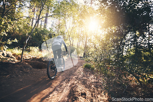 Image of Cycling, nature and fitness with man on path for training, workout or cardio exercise. Adventure, extreme sports and speed with male cyclist on bike in forest park for performance, challenge or break