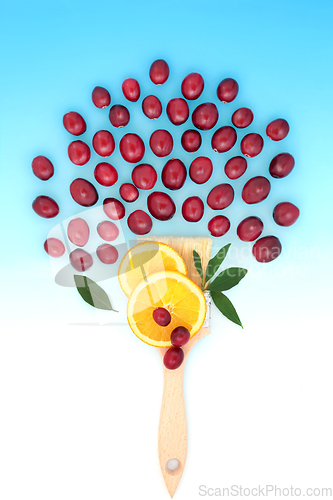 Image of Cranberry and Orange Fruit Surreal Paintbrush Design