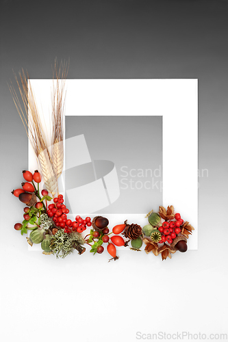 Image of Autumn Nature Harvest Background Frame