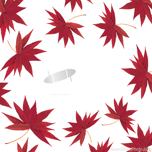 Image of Autumn Fall Red Falling Leaves Background Design