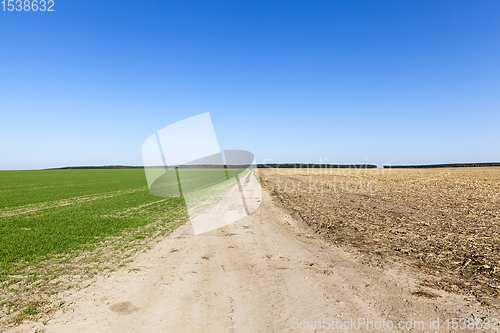 Image of road in the middle of the field