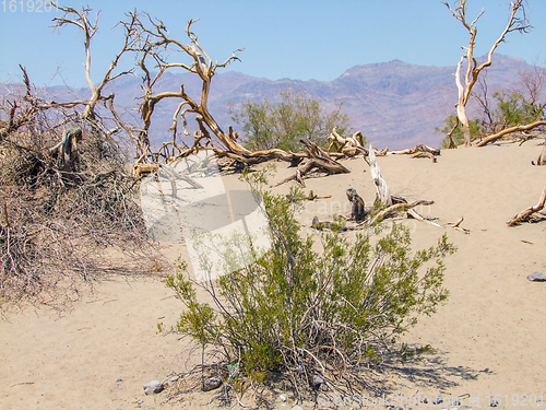 Image of Death Valley National Park