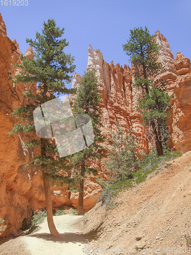 Image of Bryce Canyon National Park