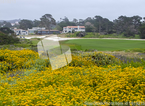 Image of idyllic coastal scenery in California