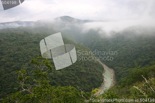 Image of River in a jungle canyon