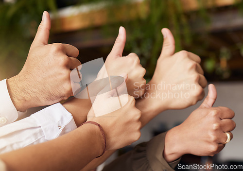 Image of Thumbs up, winning and group of people thank you, support or teamwork hands for vote, yes or like emoji. Team building, target goals and winner women and men with business ok, success and thanks sign