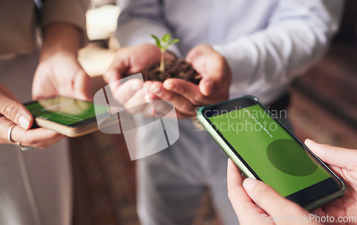 Image of Phone, business growth and hands with green plant for sustainable mobile app, website or project startup. People, soil in palm and screen for contact us in eco friendly and sustainability investment