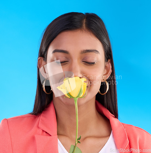 Image of Happy woman smelling a flower in a studio for a floral gift for valentines day or anniversary. Happiness, excited and Indian female model with yellow rose as present isolated by blue background.