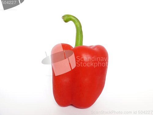 Image of Red pepper