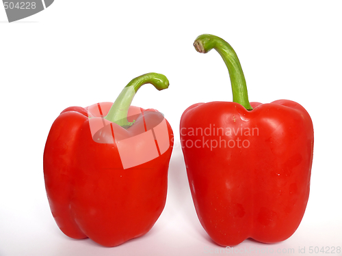 Image of Two red peppers