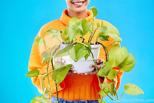 Image of Cropped woman in studio with plant, smile and happiness for house plants on blue background. Gardening, sustainable and green hobby for happy gen z girl on mockup space for eco friendly garden shop.