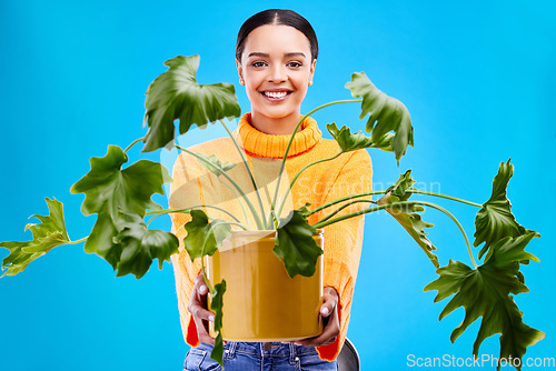 Image of Portrait of happy woman in studio with plant gift, smile and happiness for house plants on blue background. Gardening, sustainable green and hobby for gen z girl on mockup with eco friendly present
